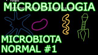 Aula Microbiologia Médica 2  Microbiota Normal 1 [upl. by Larentia]