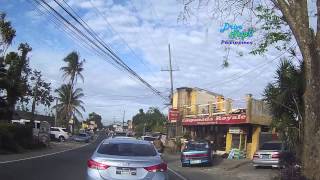 Drive Trip Philippines  Tagaytay The Original Buko Pie  Baked Coconut Pie [upl. by Magnus]