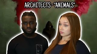 Architects  “Animals”  REACTION VIDEO [upl. by Aprile]