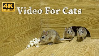 CAT TV  Mice Video For Cats To Watch amp Enjoy  Entertainment For Cats To Watch Mice  4K UHD [upl. by Allemac544]