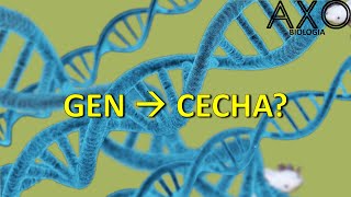 106 Związek między genem a cechą [upl. by Milka]