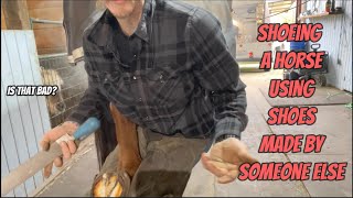 Shoeing a Horse With Shoes Made by Someone Else at a Contest [upl. by Ner3]