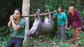 detecting wild boars making traps to catch them and raise them farm life SURVIVAL ALONE [upl. by Adelia]