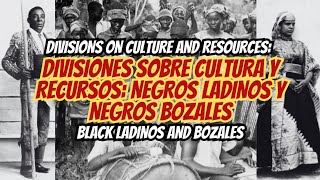 NEGROS LADINOS Y NEGROS BOZALES [upl. by Vezza]