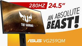 ASUS TUF VG259QM  An ABSOLUTE MONSTER  Detailed Review [upl. by Atselec268]