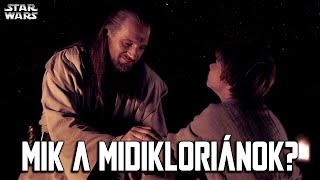 A midikloriánok természete 🦠  Star Wars [upl. by Gnaw]