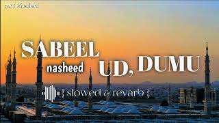 Sabeel ud dumu  nasheed arabic gojol slowed amp reverb gojol [upl. by Aicirtac94]