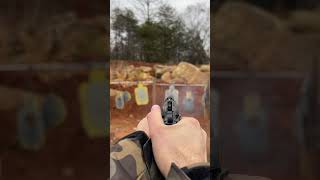 Beretta 84BB 380 ACP FPV [upl. by Anier]