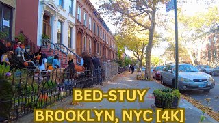 Life in BedStuy Brooklyn NYC Fall 2024 New York City Walking Tour 4K [upl. by Ylehsa]