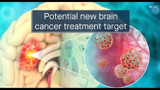 The FAKZDHHC5 axis a potential new treatment target for glioblastoma [upl. by Nrubloc641]