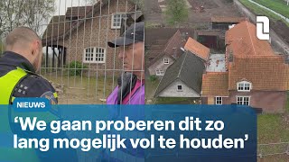 Bezetting hoeve Susteren duurt voort  L1Nieuws [upl. by Ybba]