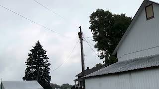 Ohio farm geese 🪿🪿 flyover real time amp sounds 29 September 2024 [upl. by Fremont424]