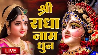 राधा नाम धुन 🙏 Radha Naam Dhun  Radha Rani Bhajan  Vrindavan Dham  राधा नाम जप  1008 Chanting [upl. by Seravat]