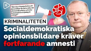 Kriminaliteten Socialdemokratiska opinionsbildare kräver fortsatt amnesti [upl. by Attennek315]