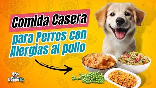 Alimento para perros hipoalergénicos  Recetas caseras [upl. by Lyndell]