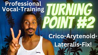 Turning Point 2  Strengthening Your Weak Vocal Spot  Anatomical Vocal Training 68 [upl. by Krefetz]