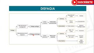 GASTROENTEROLOGÍA Disfagia  Estudios MYC [upl. by Elletnahs]