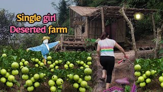 How She Turned Deserted Land Into A Fertile Farm In Just 3 Months [upl. by Edaw]