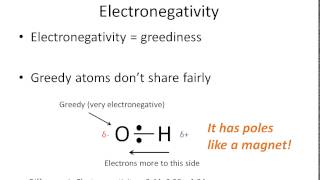 How To Tell if a Bond is Polar or Nonpolar the super easy way [upl. by Niabi181]