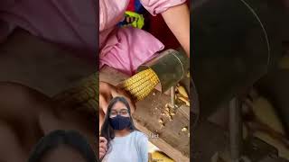 Corn seed remover gadgets amazingfacts [upl. by Toms619]