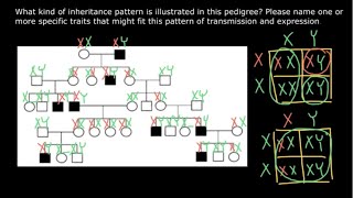 Interesting inheritance pattern explained [upl. by Manoff]