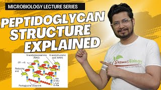 Peptidoglycan structure bacterial cell wall  peptidoglycan layer [upl. by Antrim]