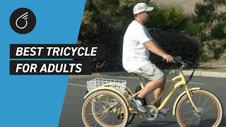 Best Tricycle For Adults  A Trike Review [upl. by Parette]