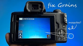 3 Solutions for Grains Problem in DSLR amp Mirrorless Cameras  Camera Settings [upl. by Cohette]