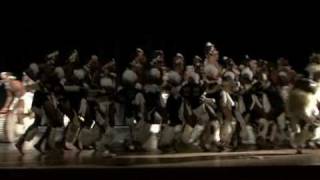 Amabhubesi Traditional Zulu Dance [upl. by Ahsekin]