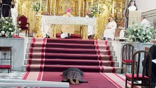 Sor Cecilia  Iglesia de Regina de Sanlúcar de Bda [upl. by Sillaw]