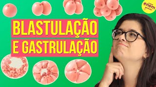 EMBRIOLOGIA BLASTULAÇÃO E GASTRULAÇÃO  Resumo de Biologia para o Enem [upl. by Eniarda381]