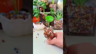 How to planting flowers in cup very beautiful garden flowers garden plants flower diy [upl. by Phyllis]