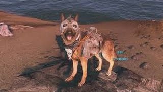 Fallout 4 where to find dog meat heavy armor [upl. by Vitoria]