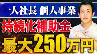 【2024年最新】従業員0個人事業主一人社長でも使える小規模事業者持続化補助金を中小企業診断士が徹底解説従業員が少ない中小企業小規模事業者向け支援策 [upl. by Beebe]