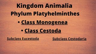 Phylum Platyhelminthes  Class Monogenea  Class Trematoda [upl. by Marius]