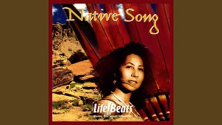 Navajo Healing Song [upl. by Sherj]