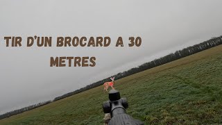 TIR DUN BROCARD  Compilation de battues dans les Dombes chevreuils renards [upl. by Trillby]