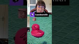 Rude  Placid Plastic Duck Simulator  clip  kaedesmith on Twitch [upl. by Bert871]