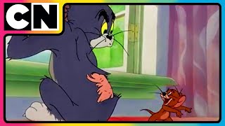 Tom amp Jerry 😺🐭  An Ode to Chaos  Nonstop Masti 🤩 Funny Chases 😆 Only on Cartoon Network [upl. by Lourdes]