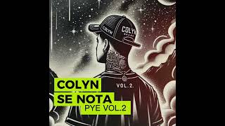 COLYN  SE NOTA visualizer [upl. by Bertolde]