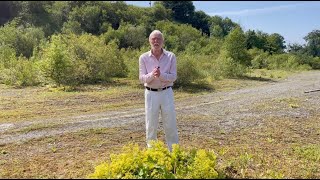 Ladys Mantle with John Feehan in July Wildflowers of Offaly series [upl. by Medor]