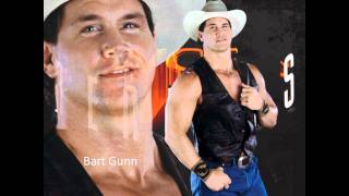 Bart Gunn 5th Theme amp Butterbean 2nd Theme [upl. by Suilenroc167]