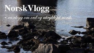 NorskVlogg 5 å regneå regne med [upl. by Anairt507]