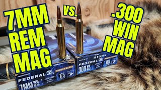 7mm Remington Magnum vs 300 Winchester Magnum Federal Powershok [upl. by Ayirp]