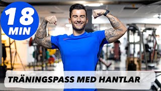 GRYMT TRÄNINGSPASS MED HANTLAR  TRAINWITHSMAIL [upl. by Angelina]