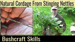 How To Make Natural Cordage From Stinging Nettles  From Picking The Plant to Making The String [upl. by Annairt]