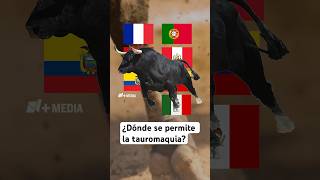 Estos países aún permiten la tauromaquia ¿por qué [upl. by Hernardo]