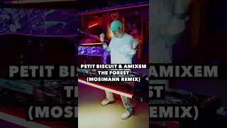 Petit Biscuit amp Amixem  The Forest Mosimann Remix [upl. by Ahtamat48]