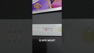 TTC 1  13 DPO Night  Pregnancy test  Faint line  21 Sept 2024  Baby Bump ttcjourney [upl. by Symer]