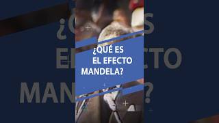 Que es el efecto Mandela [upl. by Nani]